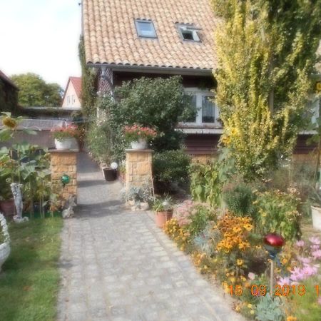 Vermiete Sehr Schoenes Apartment In Dankerode Im Harz Zewnętrze zdjęcie