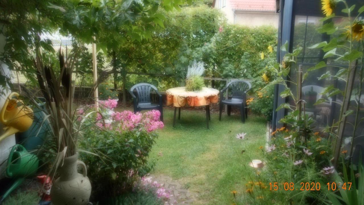 Vermiete Sehr Schoenes Apartment In Dankerode Im Harz Zewnętrze zdjęcie