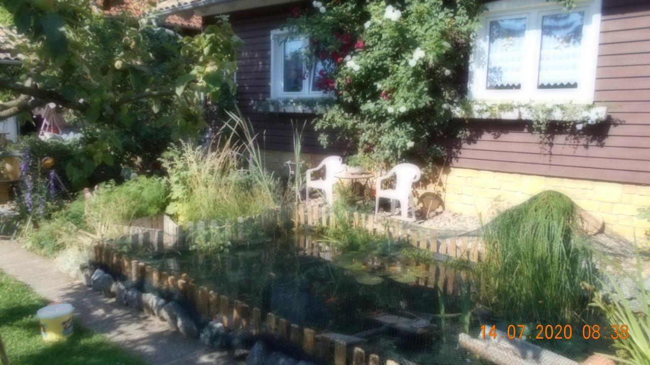 Vermiete Sehr Schoenes Apartment In Dankerode Im Harz Zewnętrze zdjęcie