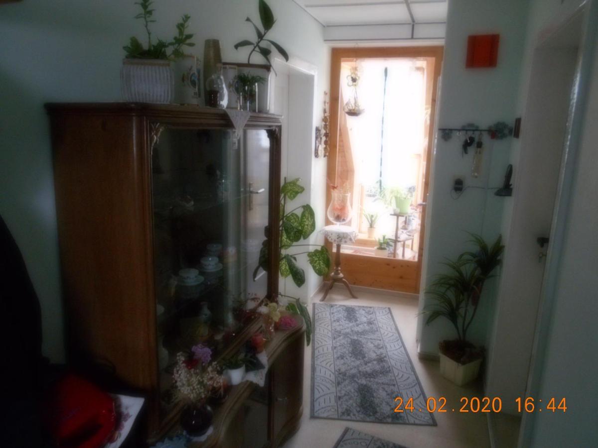 Vermiete Sehr Schoenes Apartment In Dankerode Im Harz Zewnętrze zdjęcie