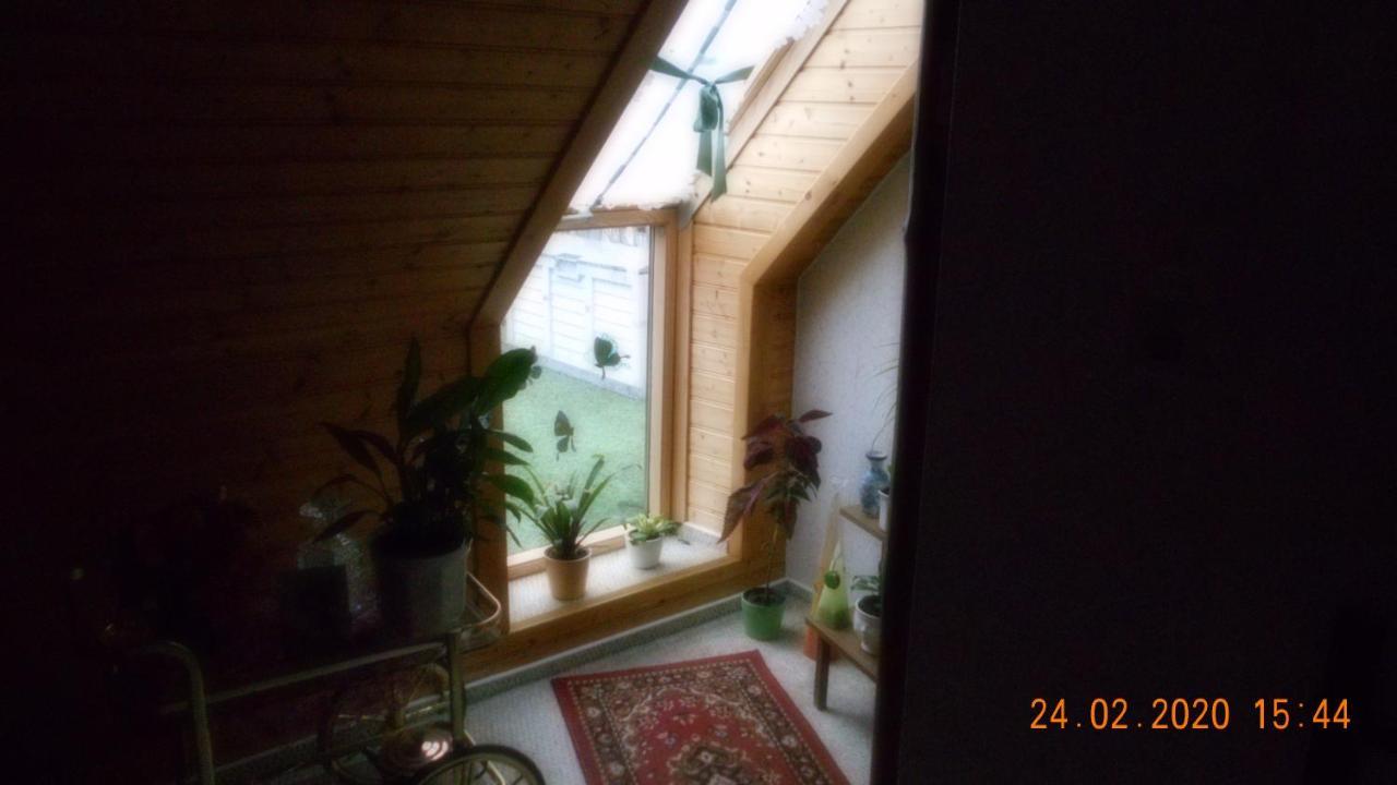 Vermiete Sehr Schoenes Apartment In Dankerode Im Harz Zewnętrze zdjęcie