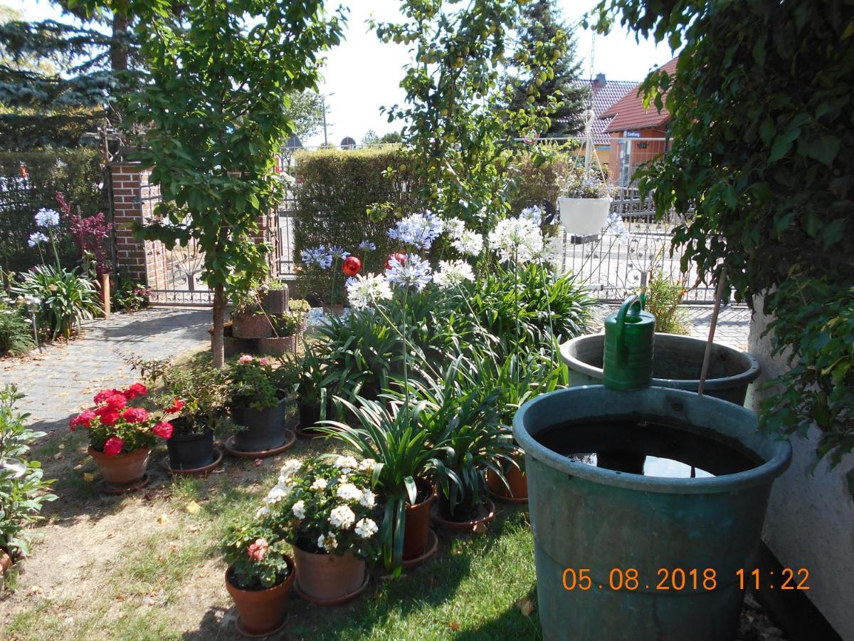 Vermiete Sehr Schoenes Apartment In Dankerode Im Harz Zewnętrze zdjęcie